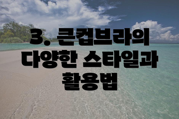 3. 큰컵브라의 다양한 스타일과 활용법
