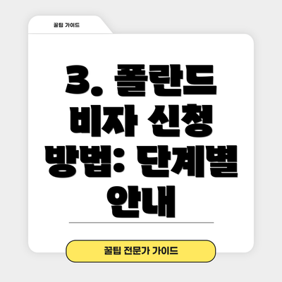 3. 폴란드 비자 신청 방법: 단계별 안내