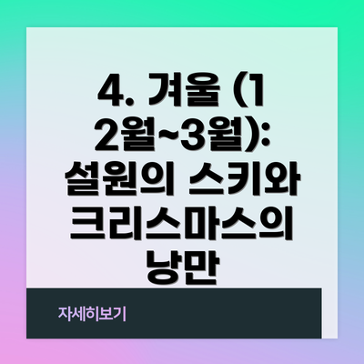 4. 겨울 (12월~3월): 설원의 스키와 크리스마스의 낭만