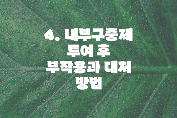 4. 내부구충제 투여 후 부작용과 대처 방법