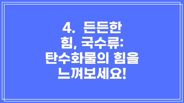 4.  든든한 힘, 국수류:  탄수화물의 힘을 느껴보세요!