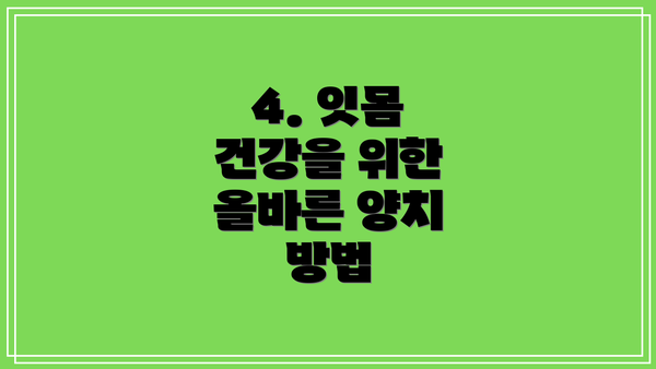 4. 잇몸 건강을 위한 올바른 양치 방법