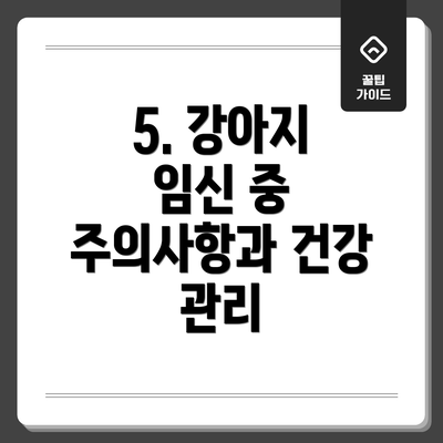5. 강아지 임신 중 주의사항과 건강 관리
