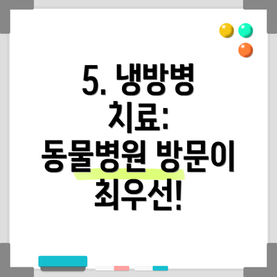 5. 냉방병 치료:  동물병원 방문이 최우선!