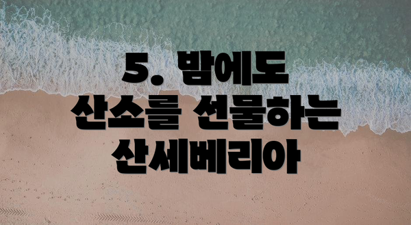 5. 밤에도 산소를 선물하는 산세베리아