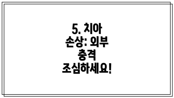 5. 치아 손상: 외부 충격 조심하세요!