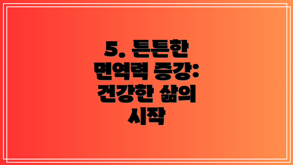 5. 튼튼한 면역력 증강: 건강한 삶의 시작