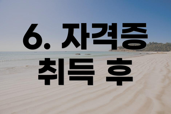 6. 자격증 취득 후