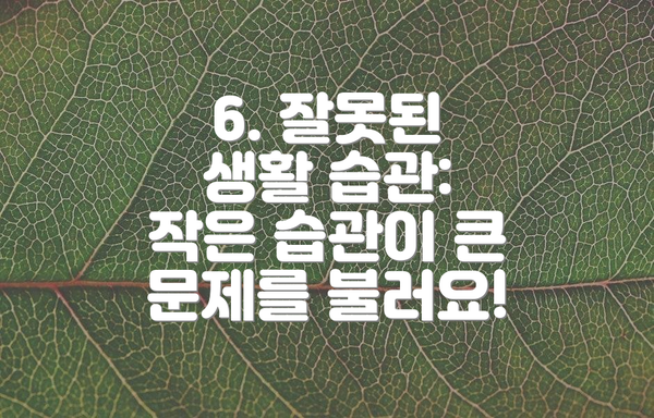 6. 잘못된 생활 습관: 작은 습관이 큰 문제를 불러요!