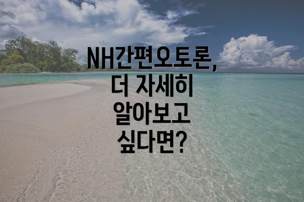 NH간편오토론,  더 자세히 알아보고 싶다면?