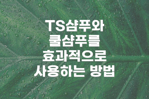 TS샴푸와 쿨샴푸를 효과적으로 사용하는 방법
