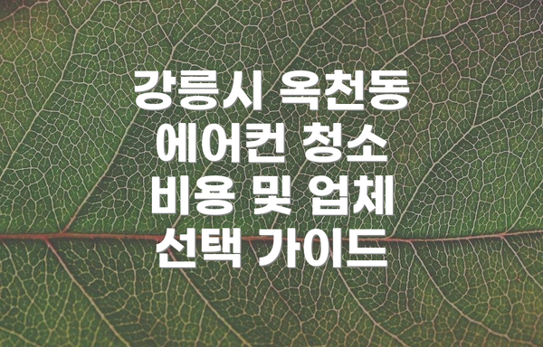 강릉시 옥천동 에어컨 청소 비용 및 업체 선택 가이드