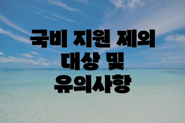 국비 지원 제외 대상 및 유의사항