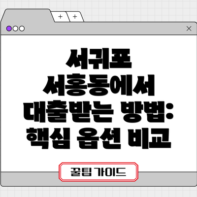 서귀포 서홍동에서 대출받는 방법: 핵심 옵션 비교