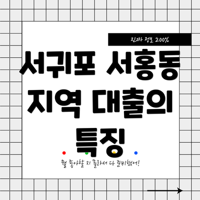서귀포 서홍동 지역 대출의 특징