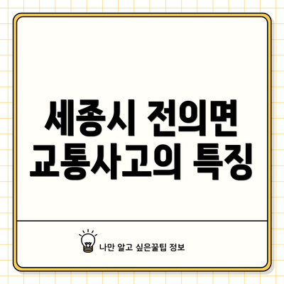 세종시 전의면 교통사고의 특징