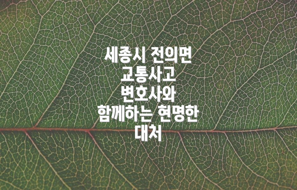 세종시 전의면 교통사고 변호사의 중요성