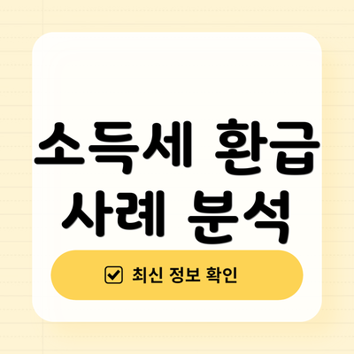 소득세 환급 사례 분석