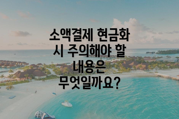 소액결제 현금화 시 주의해야 할 내용은 무엇일까요?