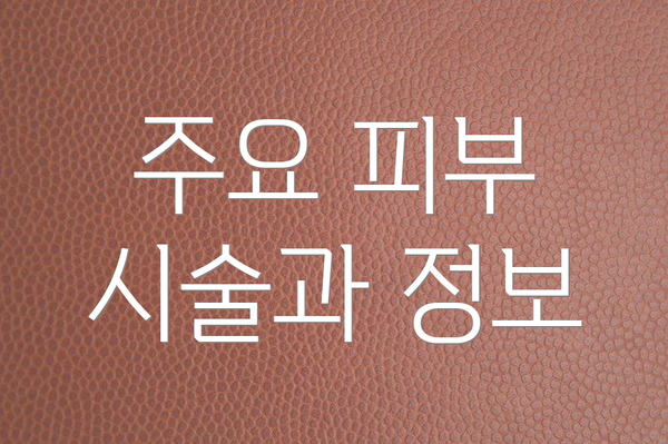 주요 피부 시술과 정보