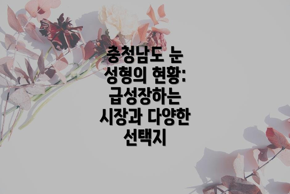 충청남도 눈 성형의 현황: 급성장하는 시장과 다양한 선택지