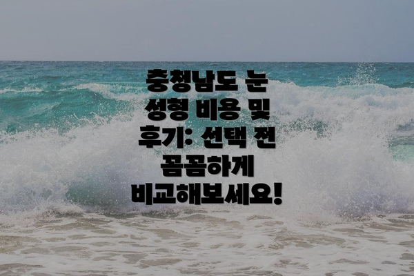 충청남도 눈 성형 비용 및 후기: 선택 전 꼼꼼하게 비교해보세요!