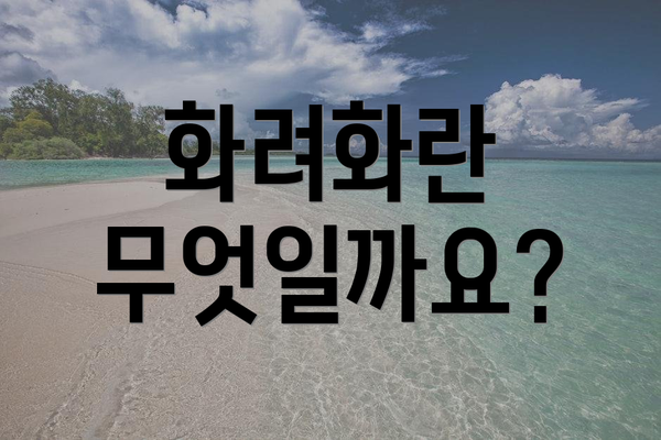 화려화란 무엇일까요?
