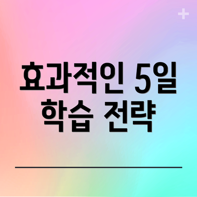 효과적인 5일 학습 전략