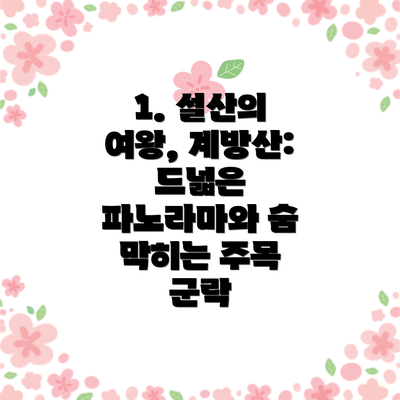1. 설산의 여왕, 계방산: 드넓은 파노라마와 숨 막히는 주목 군락