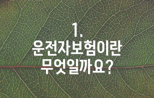 1. 운전자보험이란 무엇일까요?