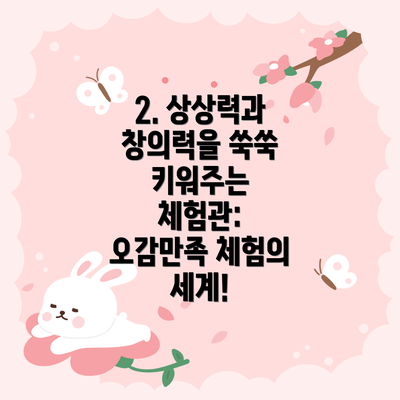 2. 상상력과 창의력을 쑥쑥 키워주는 체험관: 오감만족 체험의 세계!