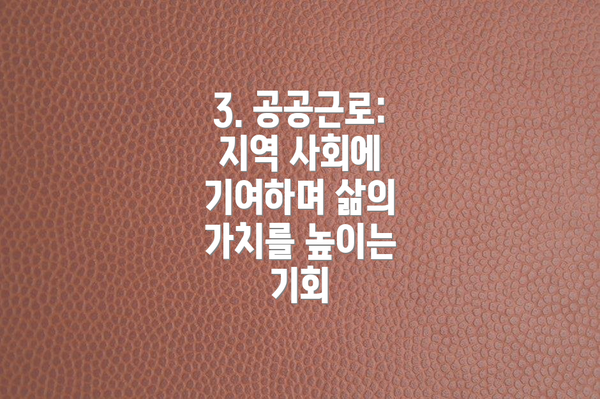 3. 공공근로: 지역 사회에 기여하며 삶의 가치를 높이는 기회