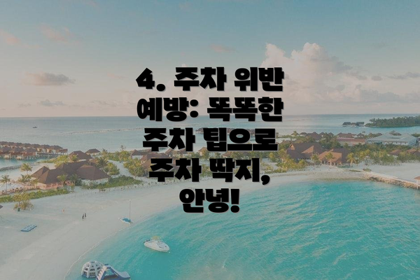 4. 주차 위반 예방: 똑똑한 주차 팁으로 주차 딱지, 안녕!