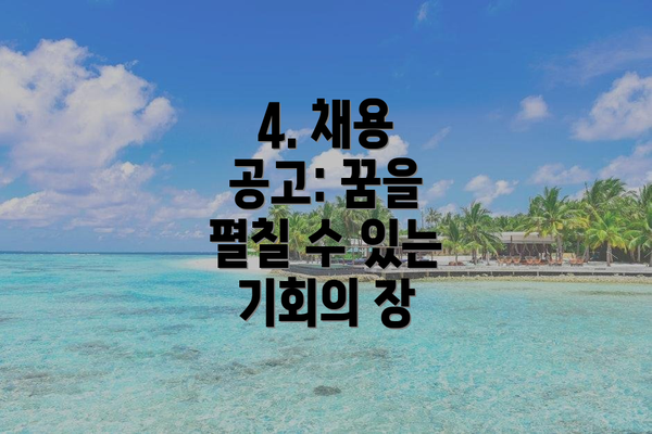 4. 채용 공고: 꿈을 펼칠 수 있는 기회의 장
