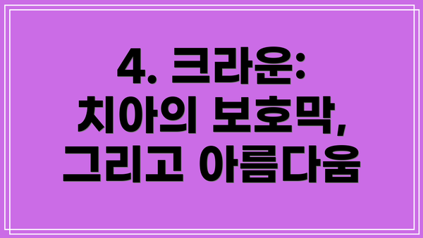 4. 크라운:  치아의 보호막, 그리고 아름다움