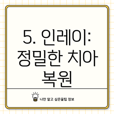 5. 인레이:  정밀한 치아 복원