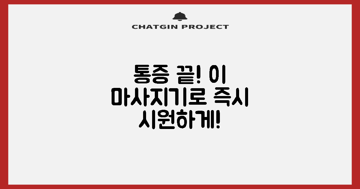 당신의 통증, 이 마사지기로 잡으세요!