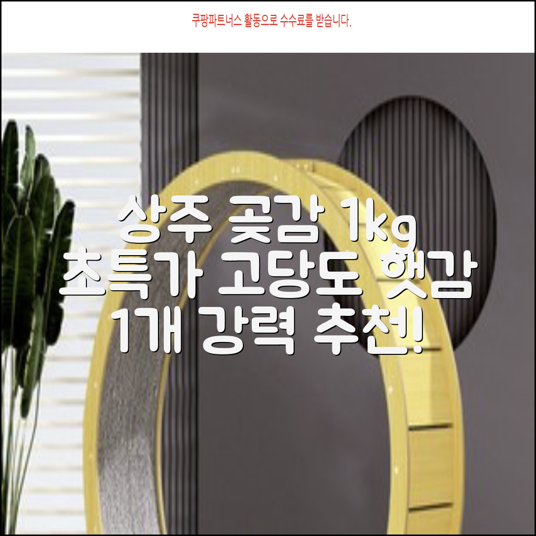 상주 곶감 초특가 1kg 고당도 햇감, 1개 추천 리뷰