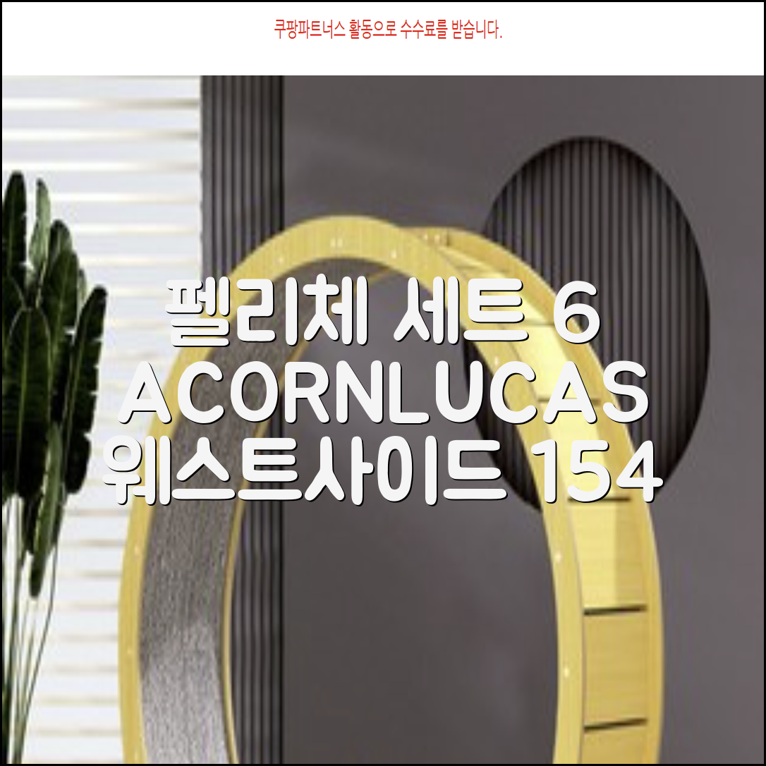 FELICE 장비세트6 ACORN데크 바인딩 LUCAS부츠, WESTSIDE 레드154+바인딩M, 1개 추천 리뷰