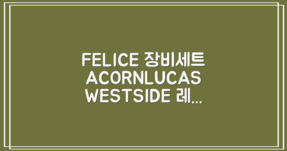 FELICE 장비세트6 ACORN데크 바인딩 LUCAS부츠, WESTSIDE 레드154+바인딩M, 1개 추천 리뷰