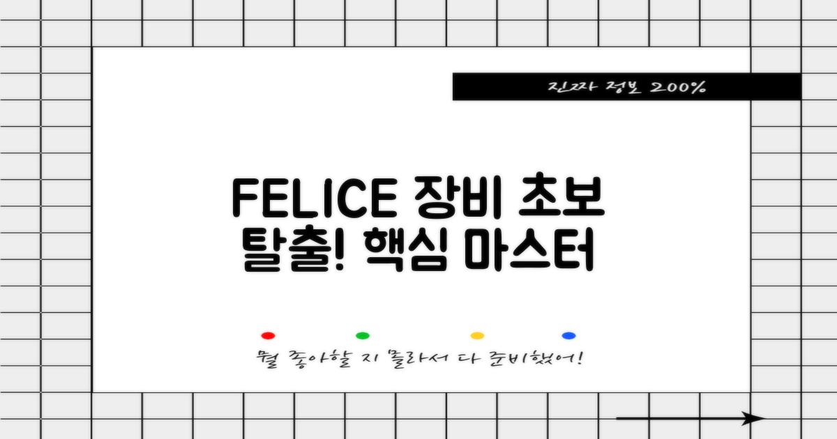 FELICE 장비, 초보부터 숙련자까지