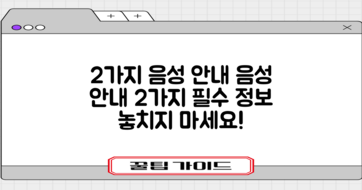 2가지 음성 안내