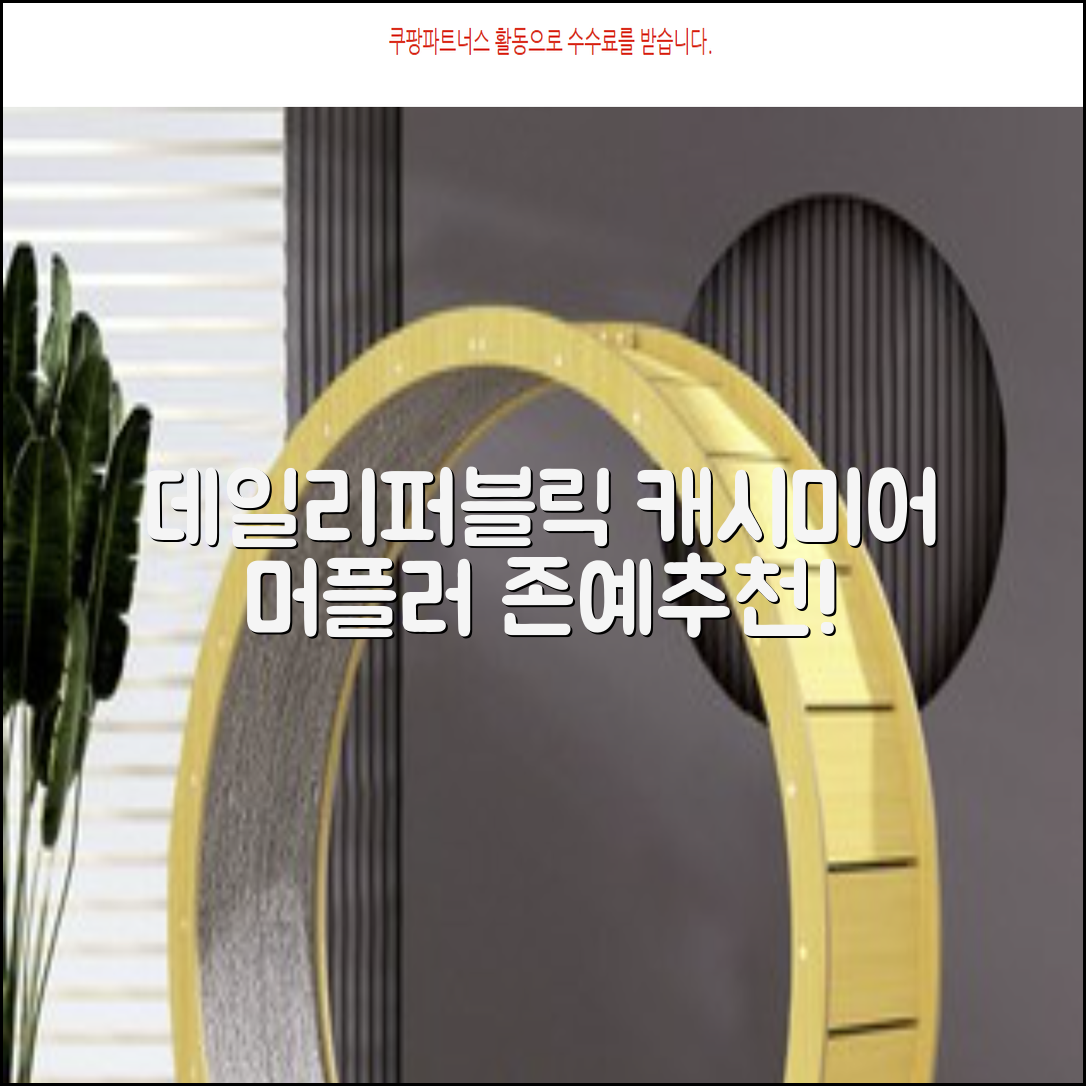 데일리퍼블릭 롱 캐시미어 머플러 목도리 넥워머 추천 리뷰