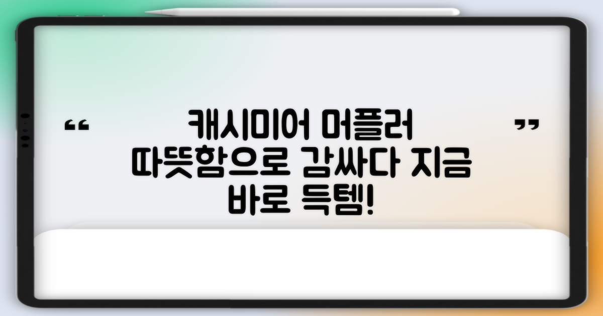 캐시미어 머플러, 지금 선택하세요!