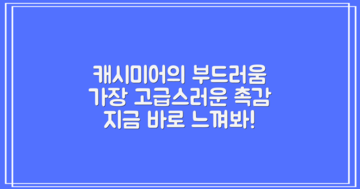 부드러운 캐시미어, 느껴보세요!