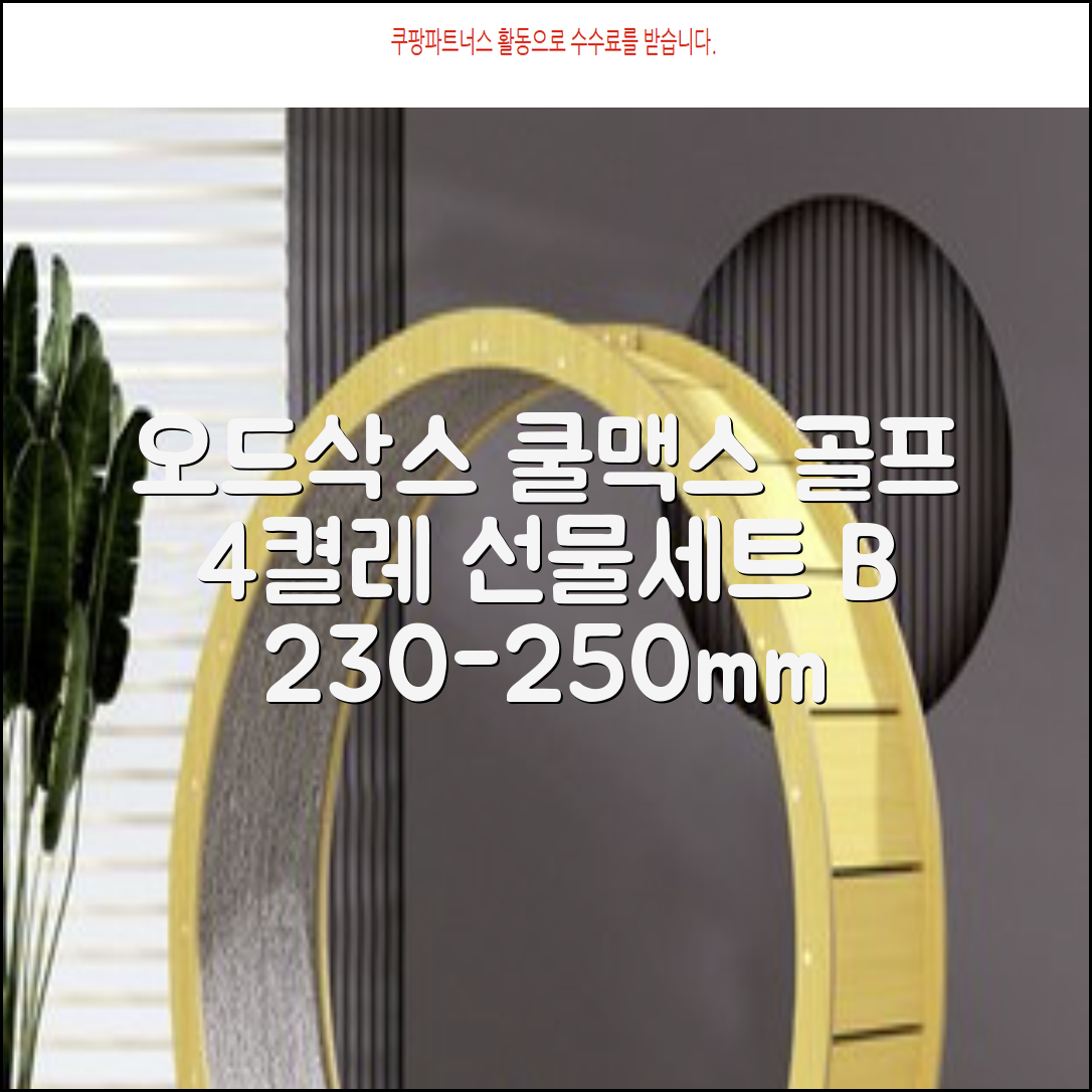 [오드삭스] 4개 선물세트 - 쿨맥스 골프 양말 4켤레 세트 B, M(230mm-250mm) 추천 리뷰