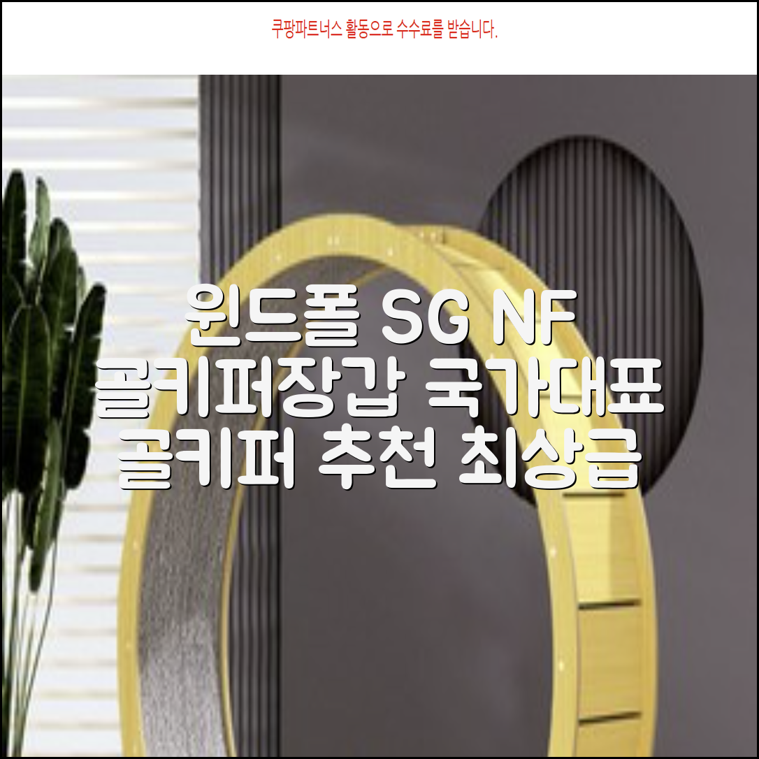 윈드폴스포츠 SG NF 축구 골키퍼장갑 5호-10호, 윈드폴스포츠 SG NF 골키퍼장갑 화이트 블랙, 1개 추천 리뷰
