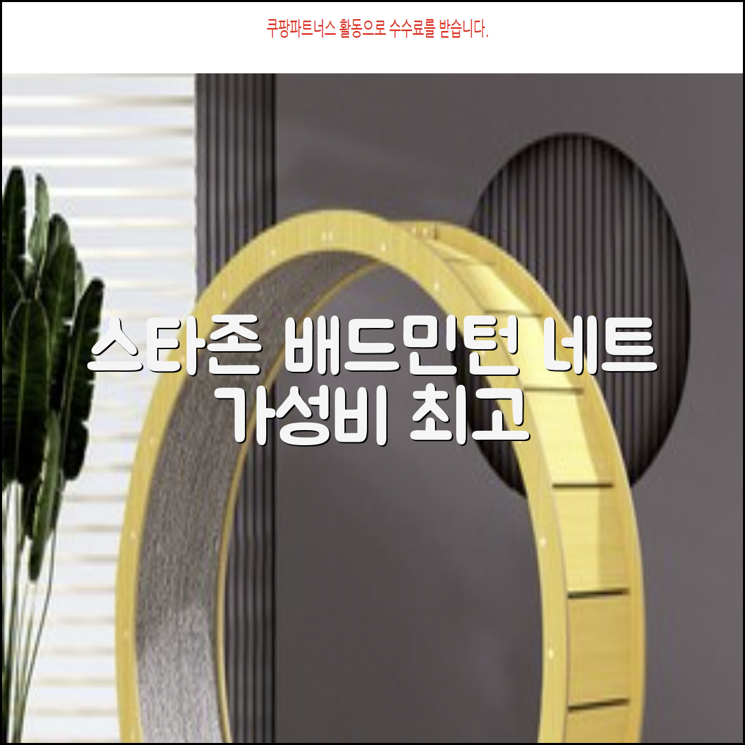 스타존 배드민턴 그물 네트 + 가방, 혼합색상, 1세트 추천 리뷰