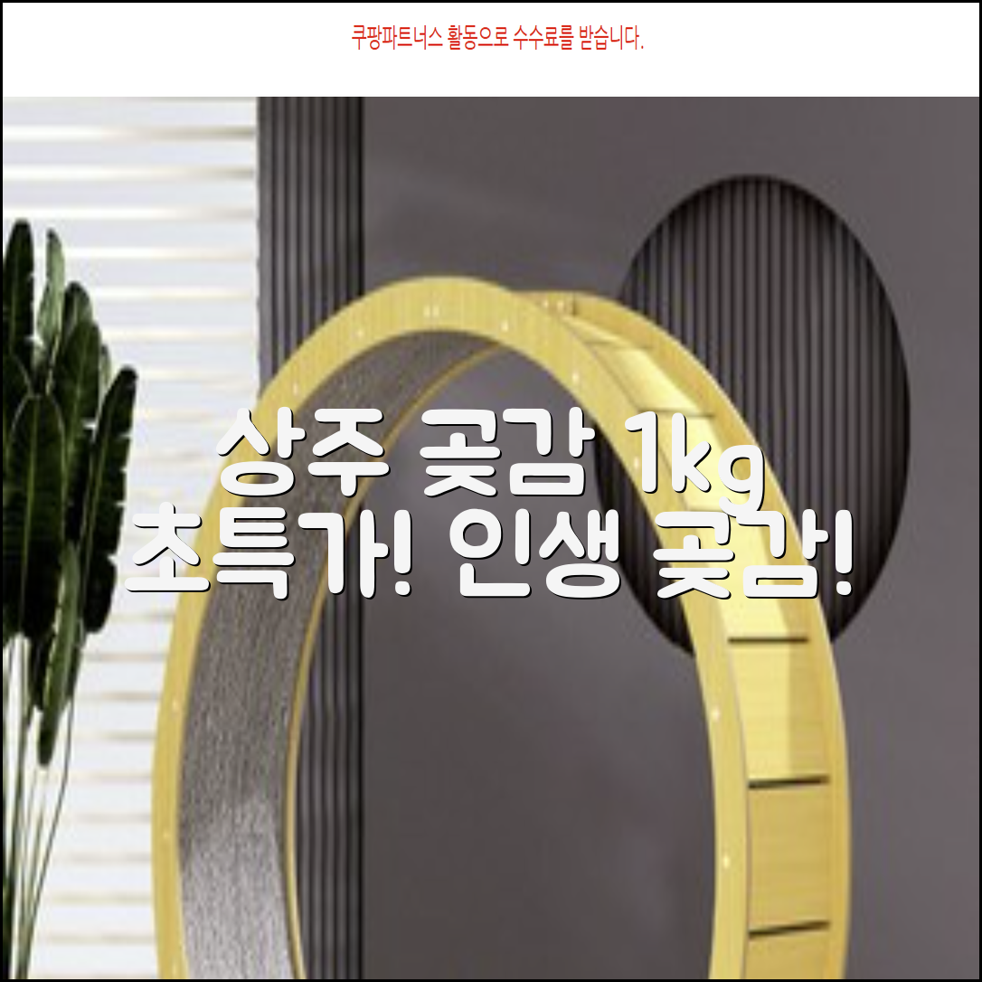 상주 곶감 초특가 1kg 고당도 햇감, 1개 추천 리뷰