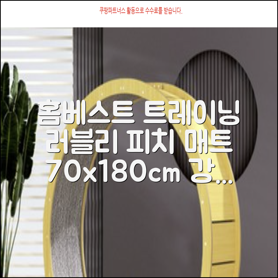 홈베스트 트레이닝 매트 70x180x4cm, 러블리_피치 추천 리뷰